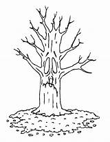 Truffula Tree Coloring Page At GetColoringscom  Free Printable sketch template