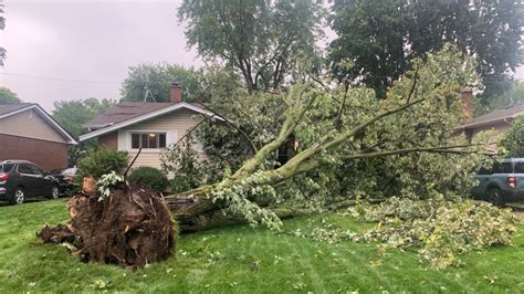 Windsor storm downs trees and power lines | CTV News