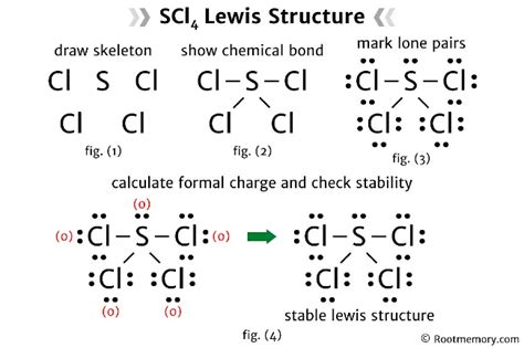 Lewis structure of SCl4 - Root Memory