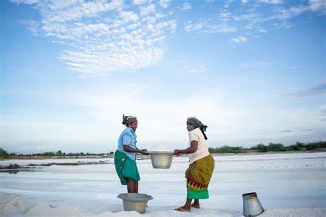 The Rani of Thoothukudi’s salt pans