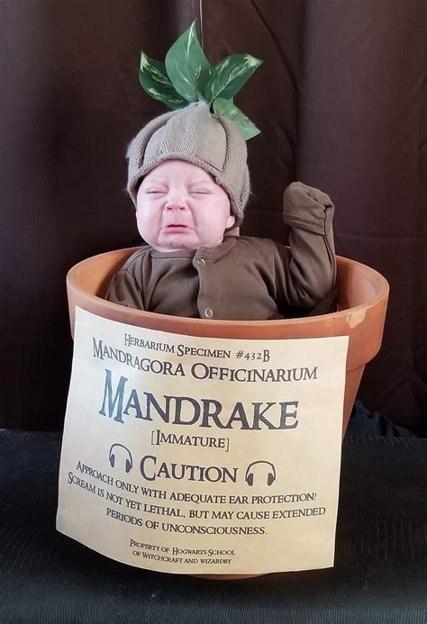 Baby Mandrake root | Baby halloween costumes, Harry potter halloween ...