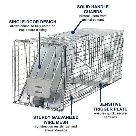 Best Raccoon Traps to Use Around Your Home | Trapper Journal