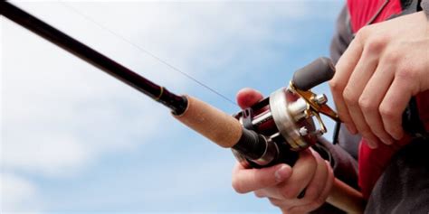 11 Best Baitcasting Reels Reviewed for October 2024