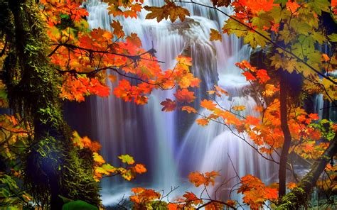 attractions, In, Dreams, Trees, Nature, Fall, Leaves, Beautiful, Waterfalls, Scenery, Love, Four ...