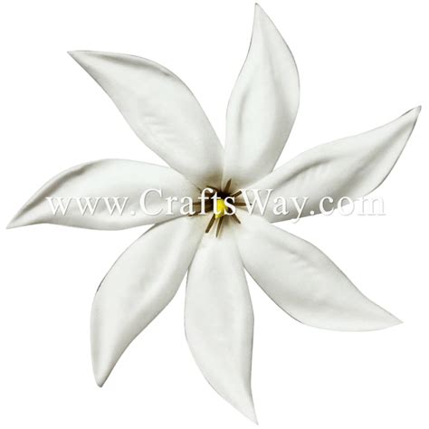 Tiare Flower Drawing | Best Flower Site