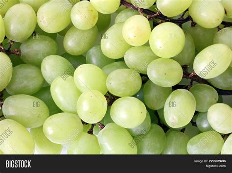 Texture Grape, Bunch Image & Photo (Free Trial) | Bigstock