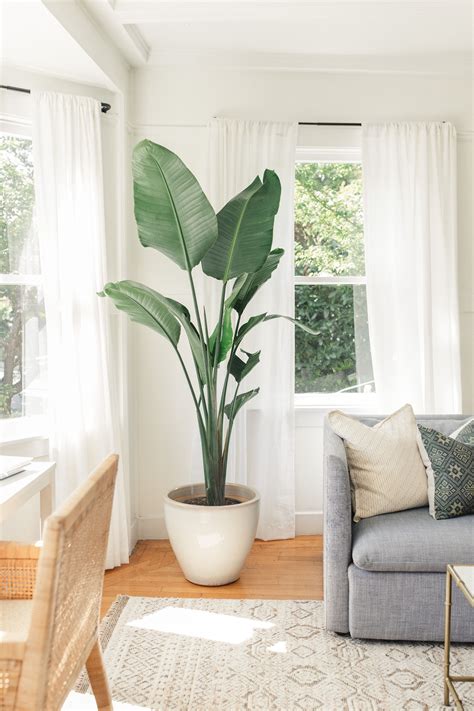 20+ Decorating Corners With Plants – The Urban Decor