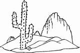 Beautiful Cactus Coloring Pages PDF  Coloringfoldercom sketch template