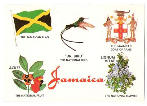 Postcards Journey: Jamaica - Images , symbols | National symbols, Jamaica national, Jamaican art