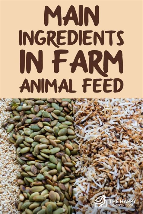 10 Main Ingredients in Farm Animal Feed