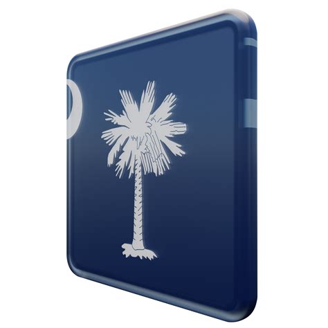 South Carolina Right View 3d textured glossy square flag 10869024 PNG