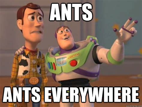 Best Memes About Ants Everywhere Ants Everywhere Memes | Hot Sex Picture