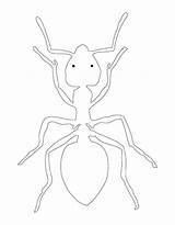 Ants Coloring Pages Free Printable PDF sketch template