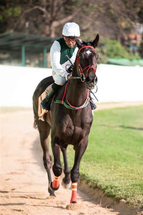 Jockey Riding Horse in Training · Free Stock Photo