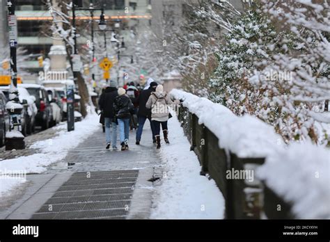 People play with snow in Central Park, Manhattan, NYC on January 7th ...