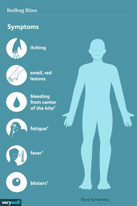 Signs and Symptoms of Bedbug Bites