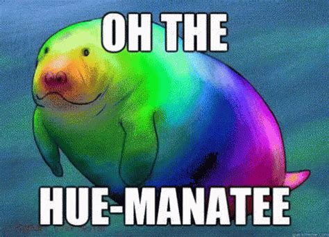 Manatee Rainbow GIF - Manatee Rainbow Nature - Discover & Share GIFs