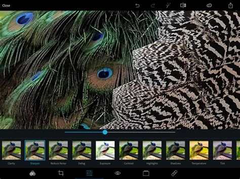 Photoshop Express 5 for iOS review: Adobe boosts app with brilliant collage feature | Macworld