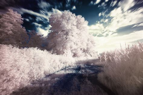 Free Images : landscape, tree, nature, grass, snow, winter, abstract, cloud, sky, road, mist ...