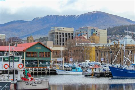 Mount Wellington Walks: A Hobart, Tasmania Hike - Jetsetting Fools