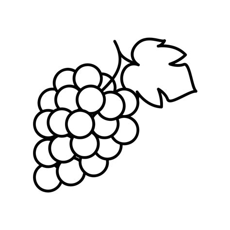 Grapes icon in bunch with leaf in black outline style 12761434 Vector ...