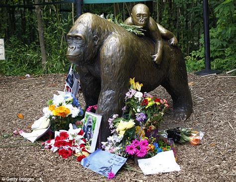 Twitter flooded with Harambe tributes on anniversary | Daily Mail Online