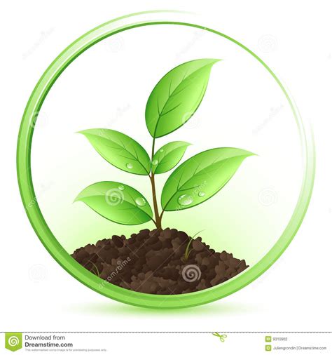 Green plant clipart 20 free Cliparts | Download images on Clipground 2024