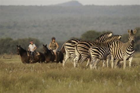 HORSEBACK SAFARIS IN SOUTH AFRICA - Adventure Africa International