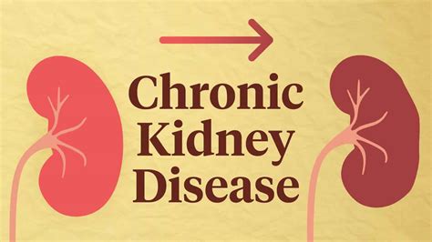 Chronic kidney disease, causes, symptoms, diagnosis, stages, treatment ...