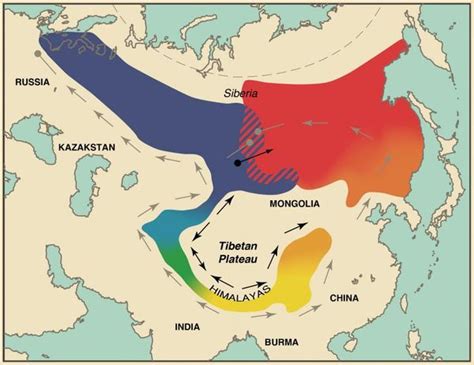 Researchers map the epic evolution of a 'ring species' (Constantine Alexander's Journal)