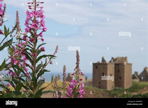 Dunnottar Castle, Scotland Stock Photo - Alamy