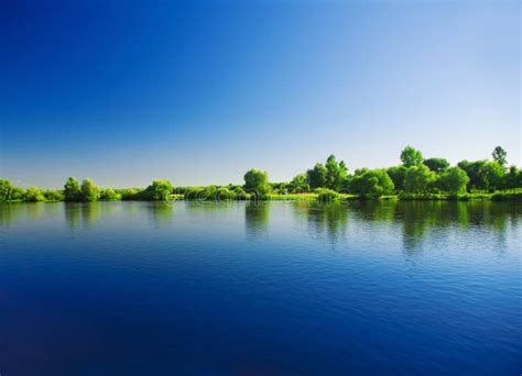 Riverscape stock image. Image of loch, beauty, pond, plant - 13262237