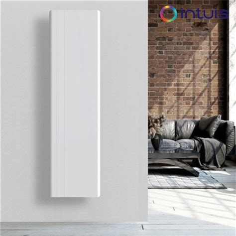 Radiateur electrique 1500W vertical en fonte Intuis M119215