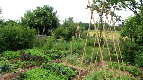 What is Permaculture and why does it matter ? - AgriERP Blog