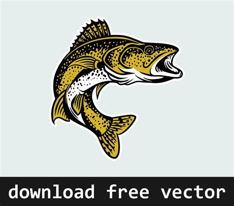 Walleye fish vector art for free download 23507217 Vector Art at Vecteezy