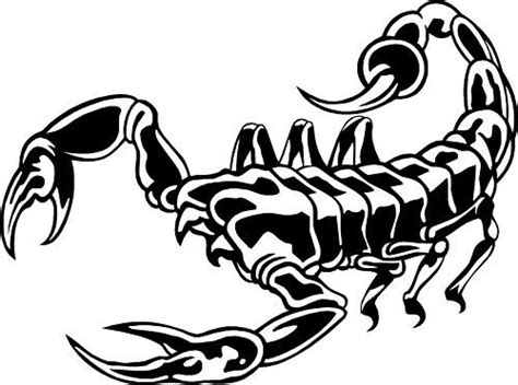 Tribal Scorpion Car,Land Rover Van 4x4 Bike Stickers ~4 | eBay