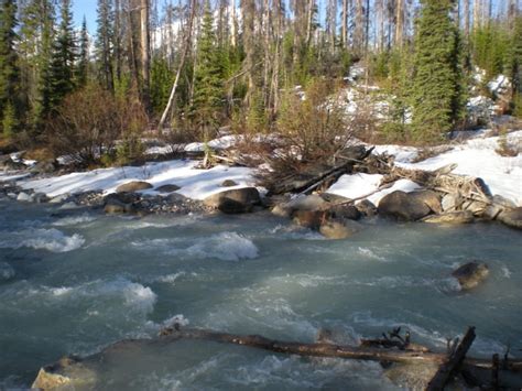 Reduced Sierra Nevada snowmelt runoff to threaten California agriculture