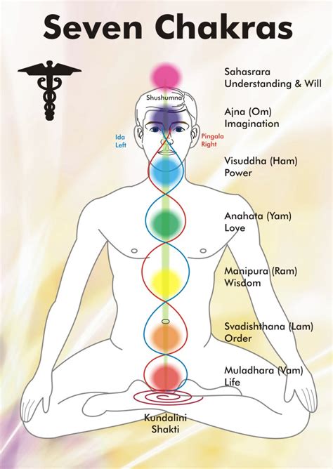 Kundalini Yoga - Chakras & Kundalini Yoga