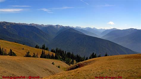 Hurricane Ridge Olympic National Park - Exploring My Life