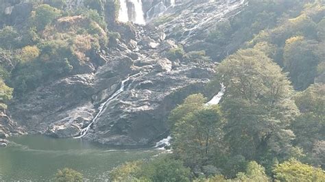 Shivanasamudra Falls (Chamarajanagar) - 2020 All You Need to Know BEFORE You Go (with Photos ...