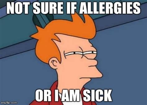 25 Best Allergies Meme Collection - Allergy Preventions