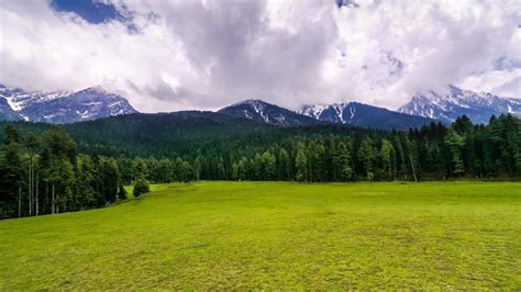 Baisaran Valley Pahalgam | Top Things to Do & Best Time to Visit