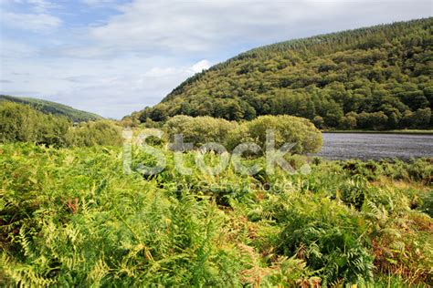 Wicklow Mountains National Park Stock Photo | Royalty-Free | FreeImages