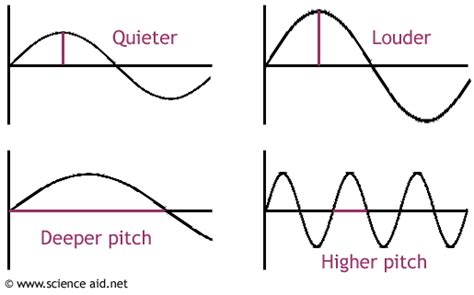 Image result for sound wave diagram | Teaching sound, Apologia physical ...