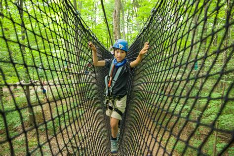 Thrill Seekers Will Love These 4 Treetop Trekking Spots Near Toronto - Ultimate Ontario