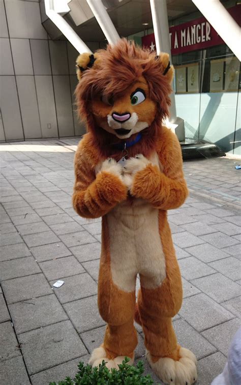 RT @TamariLion: Who’s cute? I’m cute? Really? #FursuitFriday https://t ...