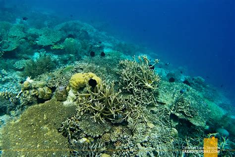 PALAWAN| Linapacan Island Hopping ~ One of the Clearest Waters in the ...