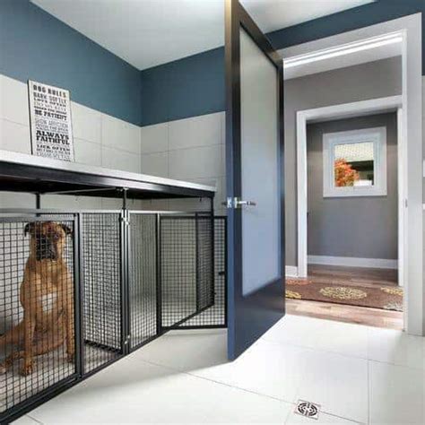 Top 60 Best Dog Room Ideas - Canine Space Designs