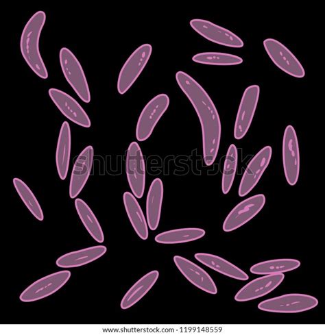 Bacteroidetes: Over 11 Royalty-Free Licensable Stock Vectors & Vector Art | Shutterstock