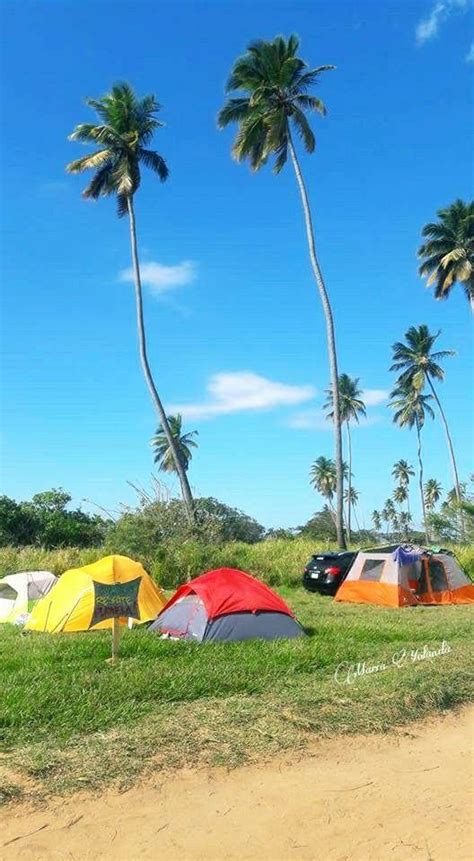 Wishing well surf spot 🦀 Aguadilla, PR | Puerto rico, Aguadilla, Outdoor